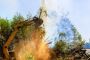 Tree Pruning Service Near Me Tree Pruning Service Near Me