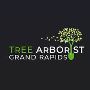 Expert Tree Service in Grand Rapids – Growing Stronger
