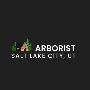 Trusted Arborists in SLC: Tree Removal & Trimming Experts!