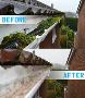 Reliable Gutter Cleaning Solutions to Protect Your Property 