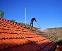 Restore Your Roof’s Shine with Expert Roof Cleaning Services