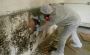Asbestos Removal Company in Melbourne
