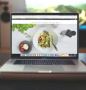 Elevate Your Business with Premier Web Design Services