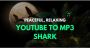 Youtube To Mp3 Shark 