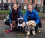 Oliver and Company Pet Services Oliver and Company Pet Services