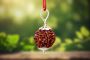 7 Mukhi Rudraksha: Attracting Prosperity