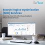 Maximize Your ROI with EnFuse's Effective SEO Services Maximize Your ROI with EnFuse's Effective SEO Services