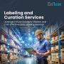 Leverage EnFuse's Cost-Effective Data Labeling Services