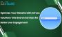 Optimize Your Website with Expert Site Search Services