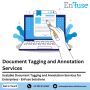 Scalable Document Tagging and Annotation Services - EnFuse