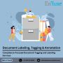 Compliance-Focused Document Tagging and Labeling Services