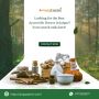 Looking for the Best Ayurvedic Doctor in Jaipur? Your search