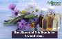 #1 Best Essential Oils Brands for Aromatherapy and Wellness