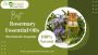 #1 Best Carrier Oils for Rosemary Oil to Boost Hair Health