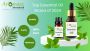 Best Essential Oil Manufacturers