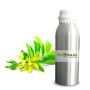 Cananga Odorata Flower Oil: Perfect for Aromatherapy, Skinca