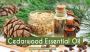 Bulk Cedarwood Essential Oil - Pure & Therapeutic Grade