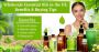 Wholesale Essential Oils in the UK – Pure & Premium Quality 