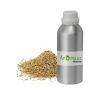 Ajwain Oil for Aromatherapy: Stress Relief, Focus, and Respi