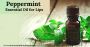 Peppermint Oil for Lips:Hydrating, Soothing & Nourishing Lip