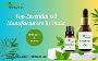 Trusted Essential Oil Manufacturers in India – Pure, Natural