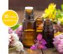 Premium Essential Oil Supplier | High-Quality Oils 