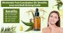 Wholesale Eucalyptus Oil – 100% Pure & Natural