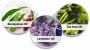 Wholesale Essential Oils Near Me | Pure & Natural Bulk 