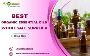 Buy Bulk Organic Essential Oils at Wholesale Prices 