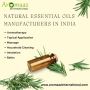 Top Essential Oil Manufacturers for Private Label & B2B Bulk