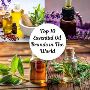 Shop Pure Organic Essential Oil Brands – Best Deals Online