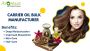Premium Carrier Oil Bulk Manufacturer – Trusted Globally 