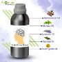 Trusted Synergy Blends Manufacturer for Aromatherapy