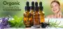 Organic Oils Wholesale – Bulk Supply of 100% Pure 