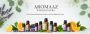 Trusted Essential Oil Wholesale Suppliers for Bulk & Private