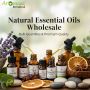 Buy Pure Oils from the Best Essential Oil Companies