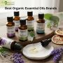 Top Essential Oil Manufactures in India – Trusted B2B Supply