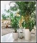 Buy Artificial Tree from No1. Manufacturers in India