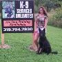 Dog Training in Knoxville TN