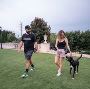Dog Training in Charlotte NC Dog Training in Charlotte NC