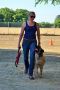 Personal Dog Trainer Fort Walton Beach Personal Dog Trainer Fort Walton Beach