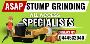 Expert Tree and Stump Removal on the Gold Coast