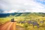 Tanzania Safari Tours: The Adventure Trips