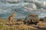 Discover Kenya’s Wildlife with Scenic Flying Safari Tours