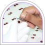 Beautiful Handmade Designer jewelry Suppliers in india Beautiful Handmade Designer jewelry Suppliers in india