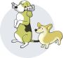 Puppies For Sale in Hyderabad - Adopt Your Perfect Puppy Now
