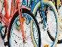 Professional Bicycle Assembly Services in Florida