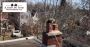A Complete Guide to Safe Animal Removal from Your Chimney