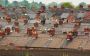 The Anatomy of Your Average Chimney | A Step In Time Chimney