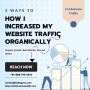 Want to Know How I Increased My Website Traffic Organically?